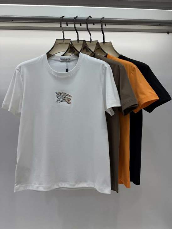 Picture of Burberry T Shirts Short _SKUBurberryM-4XL13xr0820114